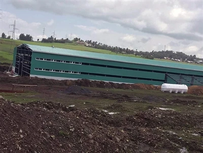 Fferm ieir strwythur dur yn Ethiopia